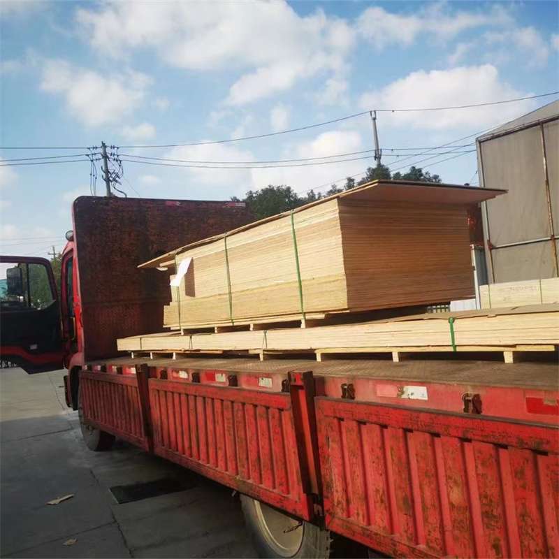 丹凤县探秘巢湖市多元物流运输世界