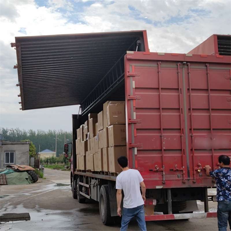 丹凤县扎囊县：物流专线的高效货运之旅